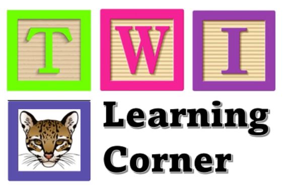 T W I Corner with blocks